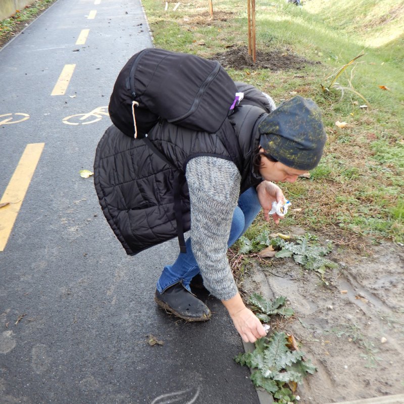 Közösségi faültetés Berettyóújfaluban 57